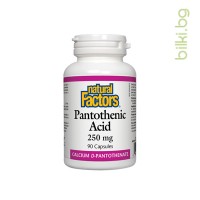 Пантотенова киселина, Natural Factors, 250 мг, 90 V-капс.
