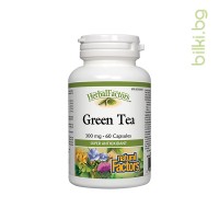 Зелен чай, Natural Factors, 300 mg, 60 капс.