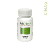 Мумио Шилажит, Safe Herbs, 250 мг, 60 V-капс.