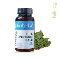 Full Spectrum Кейл за сърце и имунитет, Bioherba, 260 мг, 60 капс.