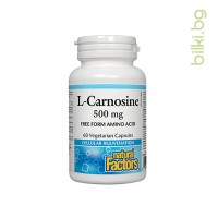 Л-Карнозин, Natural Factors, 500 mg, 60 V-капс.