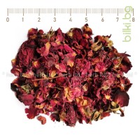 Роза маслодайна венчелистче - Червена, Rosae centifolia