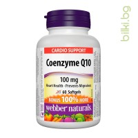 коензим Q10, webber naturals, koenzim, coenzyme, 100 mg, антиоксидант