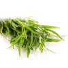 естрагон , тарос лист , Artemisia dracunculus, Естрагон цена
