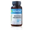 Мукуна Пруриенс Bioherba, 350 мг, 100 капс., потентност - изглед 1
