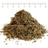Тученица, Portulaca oleracea, чай тученица, портулака, тученица стрък