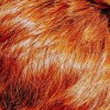 натурална къна за коса, червеникаво-меден нюанс