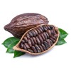 cacao beans, какао, какаови зърна, theobroma cacao