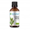 Curly Dock, Lapad, Rumex crispus, antioxidant, detox, purifying, tonic