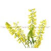 комунига жълта, melilotus officinalis, комунига стрък, комунига успокояващо