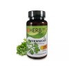 Сладък пелин, Artemisia annua, 100 капсули х 200 мг, 100% вегетариански