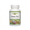 зелен чай, телесно тегло, оксидативен стрес