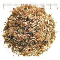 Борови връхчета - при грип и кашлица, Turiones Pinus 