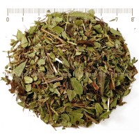 Червена боровинка лист - за бъбреци, Vaccinium vitis-idaea