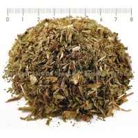 Глухарче стрък с лист, Taraxacum officinale L.