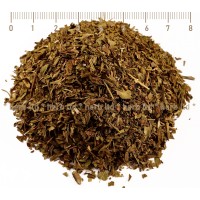 Естрагон лист, Artemisia dracunculus L. 