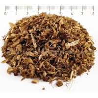 Ехинацея корен - при грип и настинка, Echinacea purpurea