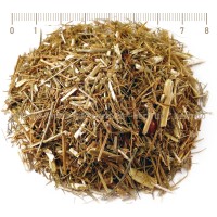 Зайча сянка корен – Аспарагус, Asparagus officinalis, 50 гр.