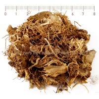 Змийска хурка корен - при хемороиди, Arum maculatum L.