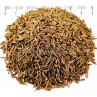 Ким семена - подправка за соленки, Carum carvi L., насипно