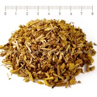 Кисел трън корен - за жлъчка и при подагра, Berberis vulgaris