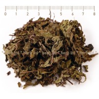 Ортосифон стрък рязан – Бъбречен чай, при бъбречни заболявания, Orthosiphon stamineus