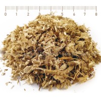 Ружа медицинска небелен корен - при кашлица, Althaea officinalis 