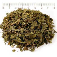 Смокиня лист - при диабет и астма, Ficus carica