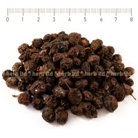 Трънка плод, Prunus spinosa L