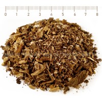 Чобанка корен – Лопуш, Petasites officinalis