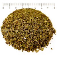 Мате чай лист - Зелено, ободрява и тонизира, Ilex Paraguariensis