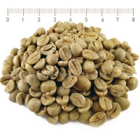 Зелено кафе на зърна Арабика, Coffea Arabica