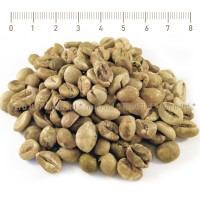 Зелено кафе на зърна Робуста – насипно кафе на зърна, Coffea robusta