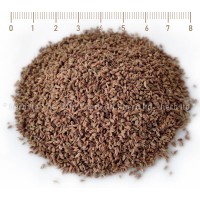 Аджвайн семена – Индийски кимион, при стомашна язва, Trachyspermum ammi
