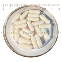 Празни капсули желатинови - размер 00, прозрачни или цветни 1000 мг, Белгия