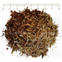 Червена Детелина стрък - при менопауза, Trifolium pratense
