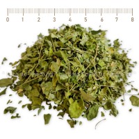Моринга лист - за имунитет, Moringa oleifera