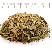 Теснолистна върбовка стрък с цвят – Иван чай, Chamaenerion angustifolium 