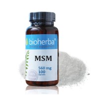 MSM – МСМ, Bioherba, 560 мг, 100 капсули