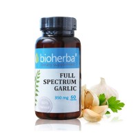 Full Spectrum Чесън - при висок холестерол и кръвно, Bioherba, 350 мг, 60 капс.