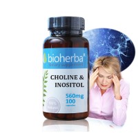 Холин и Инозитол, Bioherba, 560 мг, 100 капс.