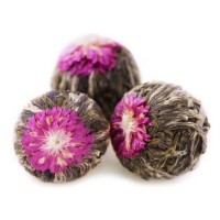 Цъфтящ Бял чай топчета, Camellia sinensis, 3 бр. / 6 бр. / 11 бр.