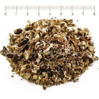 Глухарче корен, Taraxacum officinale L.