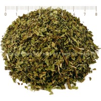 Мента лист – ментов чай,  Mentha piperita L. 