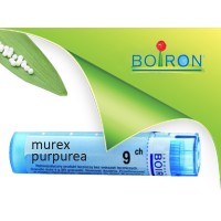 Мурекс пурпуреа, MUREX PURPUREA CH 9, Боарон
