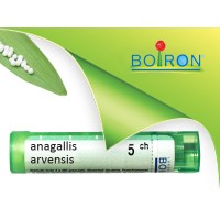 Анагалис арвензис, ANAGALLIS ARVENSIS CH 5, Боарон