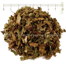 Pulmonaria officinalis herba