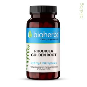 rhodiola, златен корен, адаптоген, Златовръх