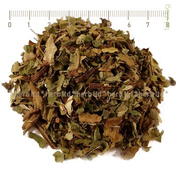 Pulmonaria officinalis herba