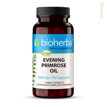 evening primrose, oil, вечерна иглика масло, вечерна иглика